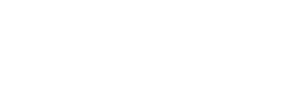 narayan